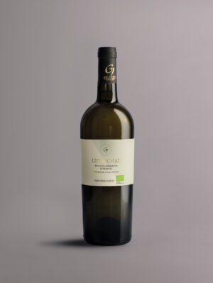 Luttichau Bianchello Superiore DOC